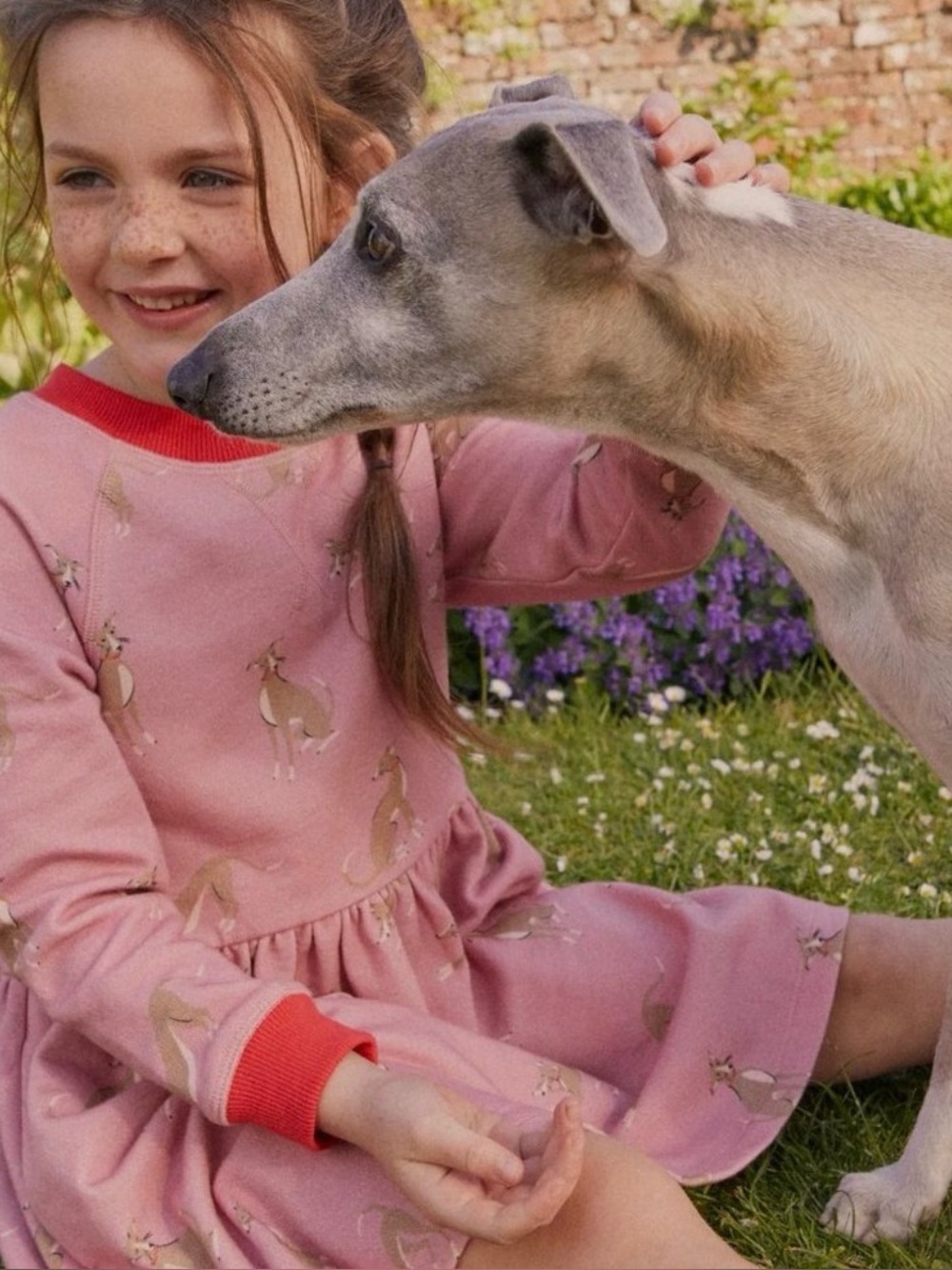Mini Boden Vintage Pink Whippet Printed Sweatshirt Dress -5